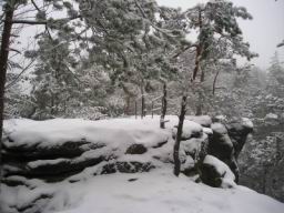 Resize of P1010307.JPG